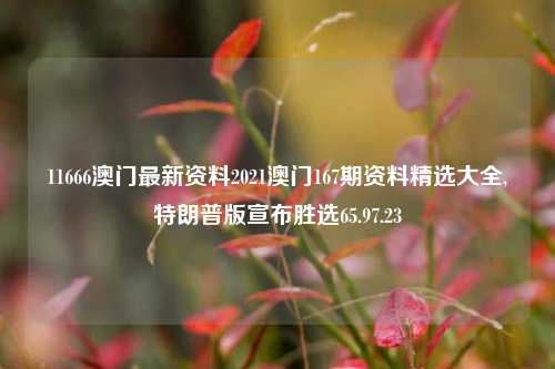 11666澳门最新资料2021澳门167期资料精选大全,特朗普版宣布胜选65.97.23-第1张图片-养花知识-花卉种植与养护技巧