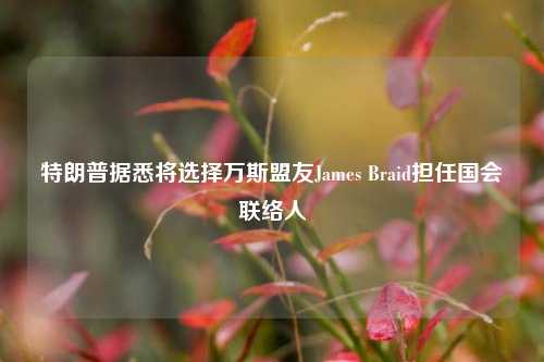 特朗普据悉将选择万斯盟友James Braid担任国会联络人-第1张图片-养花知识-花卉种植与养护技巧