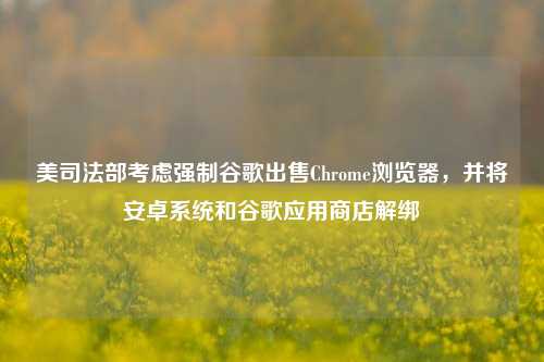 美司法部考虑强制谷歌出售Chrome浏览器，并将安卓系统和谷歌应用商店解绑-第1张图片-养花知识-花卉种植与养护技巧