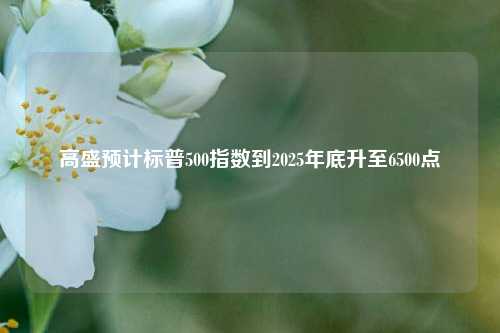 高盛预计标普500指数到2025年底升至6500点-第1张图片-养花知识-花卉种植与养护技巧