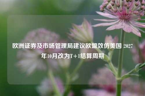 欧洲证券及市场管理局建议欧盟效仿美国 2027年10月改为T+1结算周期-第1张图片-养花知识-花卉种植与养护技巧