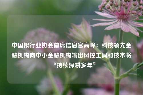 中国银行业协会首席信息官高峰：科技领先金融机构向中小金融机构输出风控工具和技术将“持续深耕多年”-第1张图片-养花知识-花卉种植与养护技巧