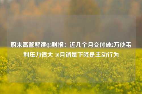 蔚来高管解读Q3财报：近几个月交付破2万使毛利压力很大 10月销量下降是主动行为-第1张图片-养花知识-花卉种植与养护技巧