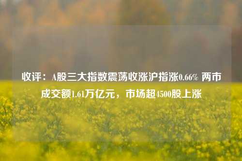 收评：A股三大指数震荡收涨沪指涨0.66% 两市成交额1.61万亿元，市场超4500股上涨-第1张图片-养花知识-花卉种植与养护技巧