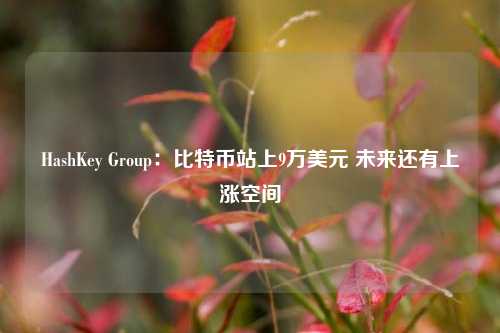 HashKey Group：比特币站上9万美元 未来还有上涨空间-第1张图片-养花知识-花卉种植与养护技巧