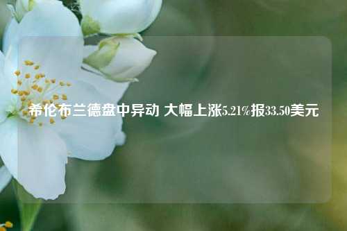 希伦布兰德盘中异动 大幅上涨5.21%报33.50美元-第1张图片-养花知识-花卉种植与养护技巧