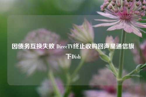 因债务互换失败 DirecTV终止收购回声星通信旗下Dish-第1张图片-养花知识-花卉种植与养护技巧