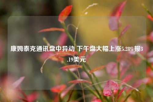 康姆泰克通讯盘中异动 下午盘大幅上涨5.28%报3.19美元-第1张图片-养花知识-花卉种植与养护技巧