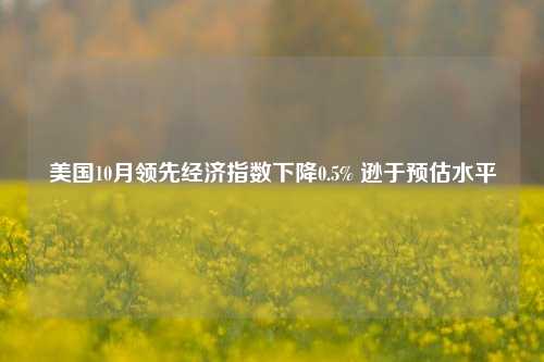 美国10月领先经济指数下降0.5% 逊于预估水平-第1张图片-养花知识-花卉种植与养护技巧