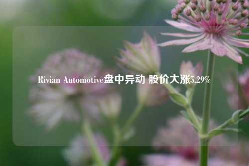 Rivian Automotive盘中异动 股价大涨5.29%-第1张图片-养花知识-花卉种植与养护技巧