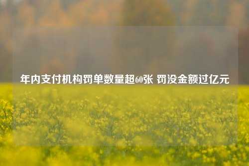 年内支付机构罚单数量超60张 罚没金额过亿元-第1张图片-养花知识-花卉种植与养护技巧