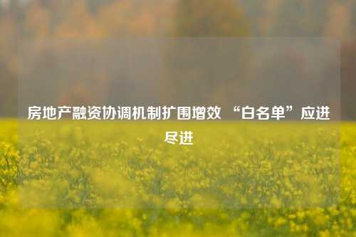 房地产融资协调机制扩围增效 “白名单”应进尽进-第1张图片-养花知识-花卉种植与养护技巧