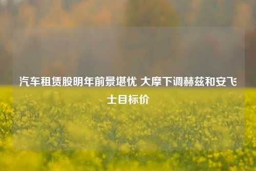 汽车租赁股明年前景堪忧 大摩下调赫兹和安飞士目标价-第1张图片-养花知识-花卉种植与养护技巧