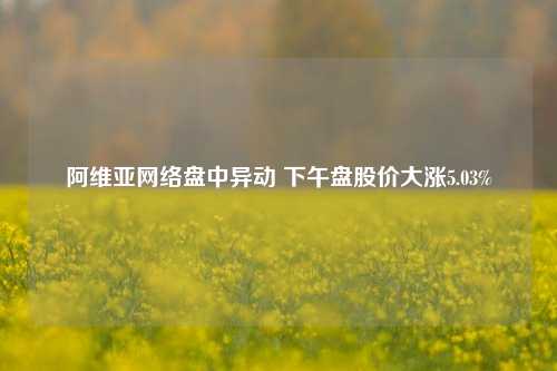 阿维亚网络盘中异动 下午盘股价大涨5.03%-第1张图片-养花知识-花卉种植与养护技巧