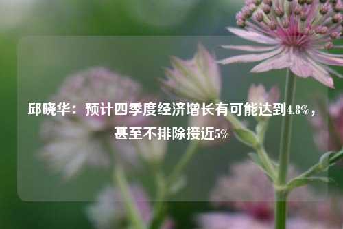 邱晓华：预计四季度经济增长有可能达到4.8%，甚至不排除接近5%-第1张图片-养花知识-花卉种植与养护技巧