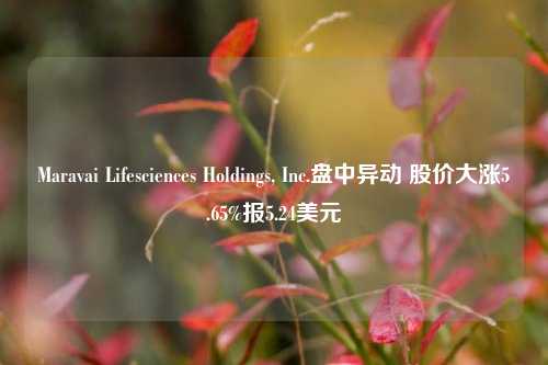 Maravai Lifesciences Holdings, Inc.盘中异动 股价大涨5.65%报5.24美元-第1张图片-养花知识-花卉种植与养护技巧