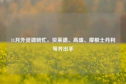 11月外资调研忙，贝莱德、高盛、摩根士丹利等齐出手-第1张图片-养花知识-花卉种植与养护技巧