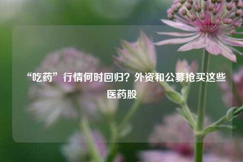 “吃药”行情何时回归？外资和公募抢买这些医药股-第1张图片-养花知识-花卉种植与养护技巧