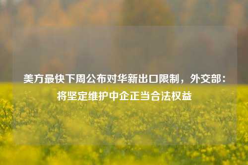 美方最快下周公布对华新出口限制，外交部：将坚定维护中企正当合法权益-第1张图片-养花知识-花卉种植与养护技巧