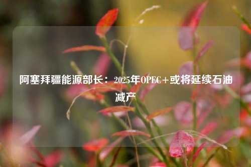 阿塞拜疆能源部长：2025年OPEC+或将延续石油减产-第1张图片-养花知识-花卉种植与养护技巧