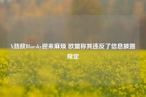 X劲敌Bluesky迎来麻烦 欧盟称其违反了信息披露规定-第1张图片-养花知识-花卉种植与养护技巧