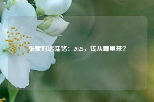 张斌对话陆铭：2025，钱从哪里来？-第1张图片-养花知识-花卉种植与养护技巧