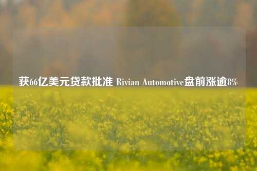 获66亿美元贷款批准 Rivian Automotive盘前涨逾8%-第1张图片-养花知识-花卉种植与养护技巧