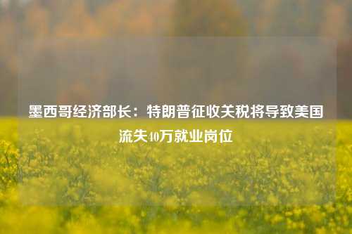 墨西哥经济部长：特朗普征收关税将导致美国流失40万就业岗位-第1张图片-养花知识-花卉种植与养护技巧