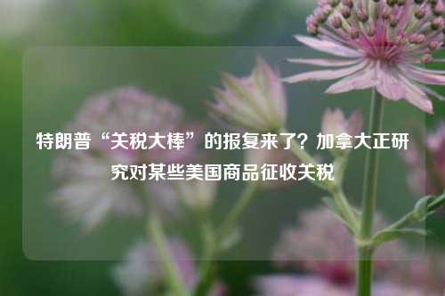 特朗普“关税大棒”的报复来了？加拿大正研究对某些美国商品征收关税-第1张图片-养花知识-花卉种植与养护技巧