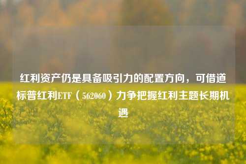 红利资产仍是具备吸引力的配置方向，可借道标普红利ETF（562060）力争把握红利主题长期机遇-第1张图片-养花知识-花卉种植与养护技巧