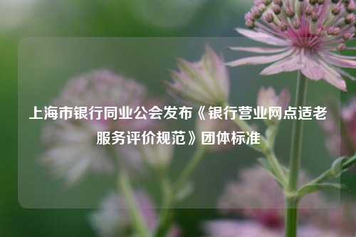 上海市银行同业公会发布《银行营业网点适老服务评价规范》团体标准-第1张图片-养花知识-花卉种植与养护技巧