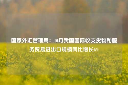 国家外汇管理局：10月我国国际收支货物和服务贸易进出口规模同比增长6%-第1张图片-养花知识-花卉种植与养护技巧