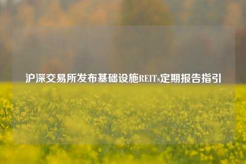 沪深交易所发布基础设施REITs定期报告指引-第1张图片-养花知识-花卉种植与养护技巧