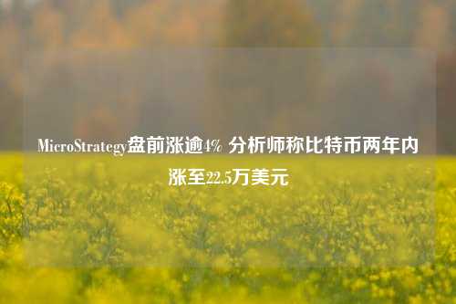 MicroStrategy盘前涨逾4% 分析师称比特币两年内涨至22.5万美元-第1张图片-养花知识-花卉种植与养护技巧