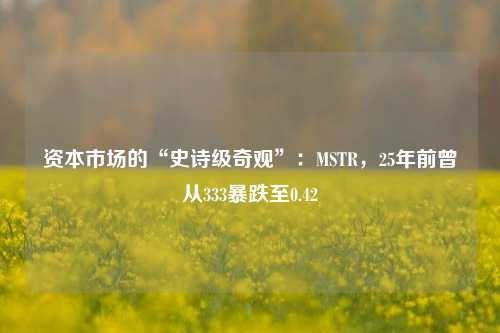 资本市场的“史诗级奇观”：MSTR，25年前曾从333暴跌至0.42-第1张图片-养花知识-花卉种植与养护技巧