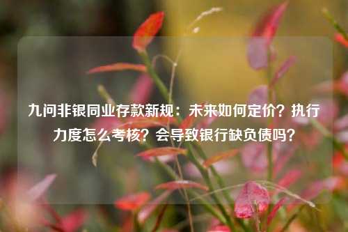 九问非银同业存款新规：未来如何定价？执行力度怎么考核？会导致银行缺负债吗？-第1张图片-养花知识-花卉种植与养护技巧