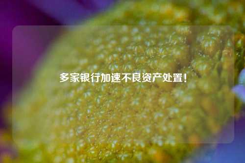 多家银行加速不良资产处置！-第1张图片-养花知识-花卉种植与养护技巧