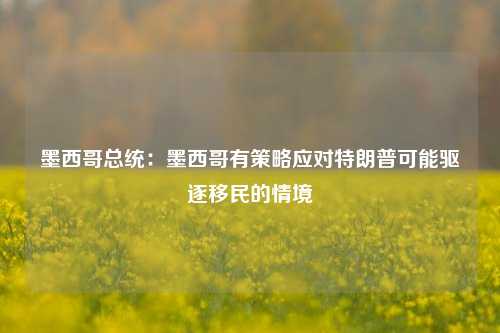 墨西哥总统：墨西哥有策略应对特朗普可能驱逐移民的情境-第1张图片-养花知识-花卉种植与养护技巧