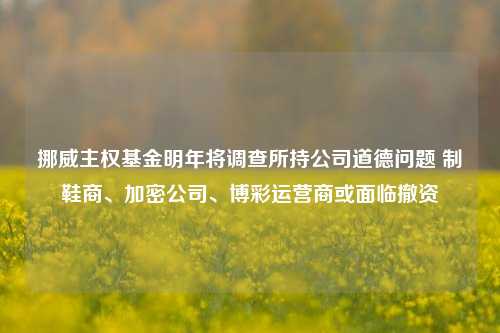 挪威主权基金明年将调查所持公司道德问题 制鞋商、加密公司、博彩运营商或面临撤资-第1张图片-养花知识-花卉种植与养护技巧