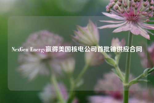 NexGen Energy赢得美国核电公司首批铀供应合同-第1张图片-养花知识-花卉种植与养护技巧