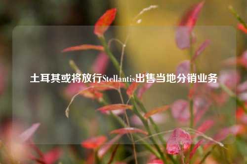 土耳其或将放行Stellantis出售当地分销业务-第1张图片-养花知识-花卉种植与养护技巧