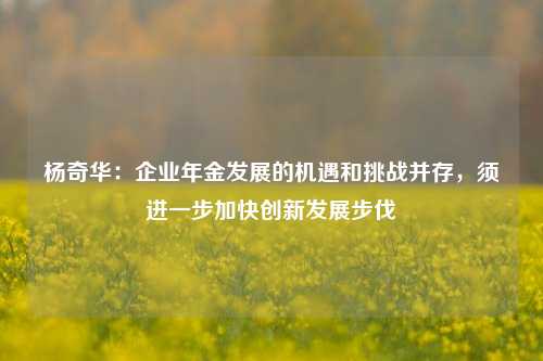 杨奇华：企业年金发展的机遇和挑战并存，须进一步加快创新发展步伐