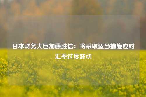 日本财务大臣加藤胜信：将采取适当措施应对汇率过度波动