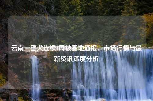 云南一警犬连续4周被基地通报，市场行情与最新资讯深度分析