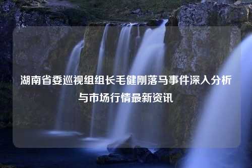 湖南省委巡视组组长毛健刚落马事件深入分析与市场行情最新资讯