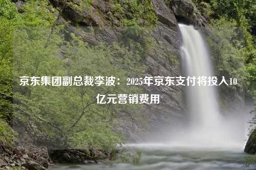 京东集团副总裁李波：2025年京东支付将投入10亿元营销费用