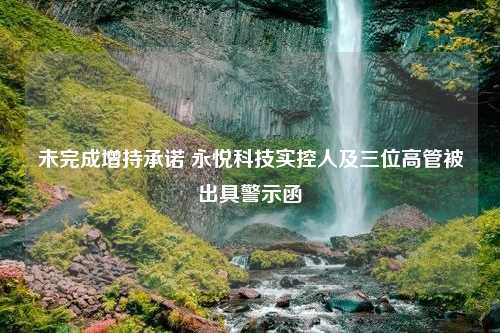 未完成增持承诺 永悦科技实控人及三位高管被出具警示函