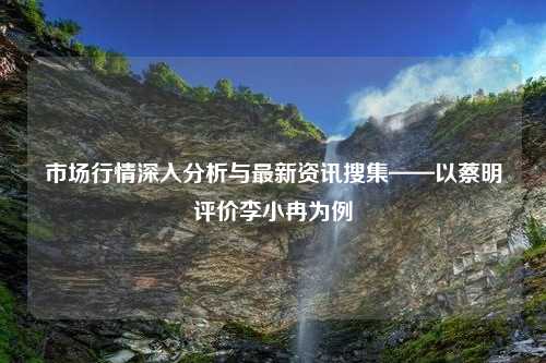 市场行情深入分析与最新资讯搜集——以蔡明评价李小冉为例