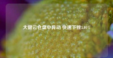 大健云仓盘中异动 快速下挫5.01%