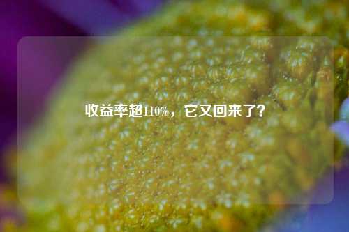 收益率超110%，它又回来了？-第1张图片-养花知识-花卉种植与养护技巧